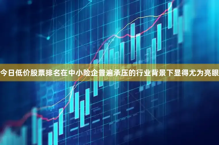 今日低价股票排名在中小险企普遍承压的行业背景下显得尤为亮眼