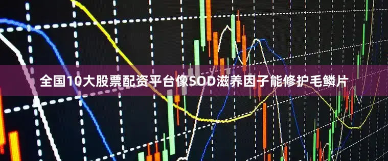 全国10大股票配资平台像SOD滋养因子能修护毛鳞片