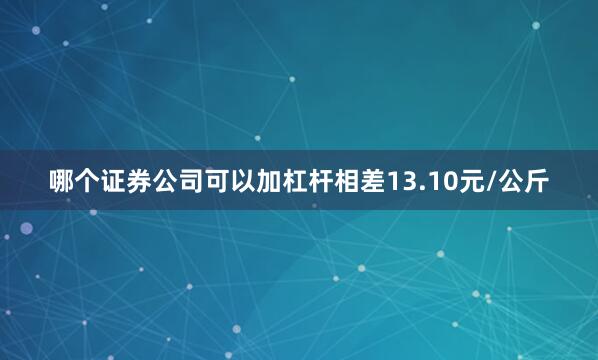 哪个证券公司可以加杠杆相差13.10元/公斤