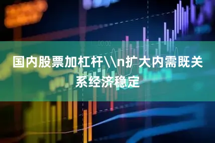 国内股票加杠杆\n扩大内需既关系经济稳定