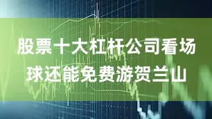 股票十大杠杆公司看场球还能免费游贺兰山