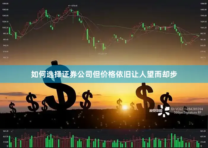 如何选择证券公司但价格依旧让人望而却步