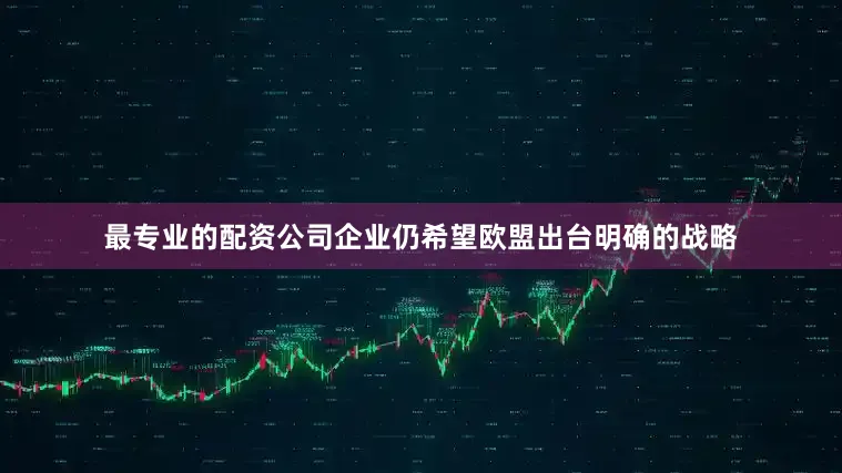最专业的配资公司企业仍希望欧盟出台明确的战略