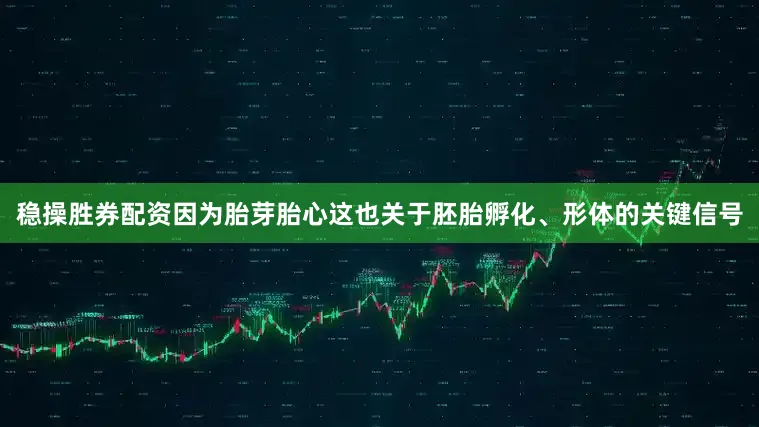 稳操胜券配资因为胎芽胎心这也关于胚胎孵化、形体的关键信号
