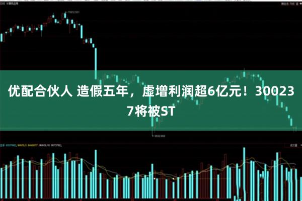 优配合伙人 造假五年，虚增利润超6亿元！300237将被ST